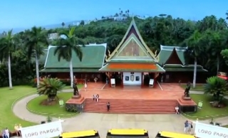 loro parque.jpg